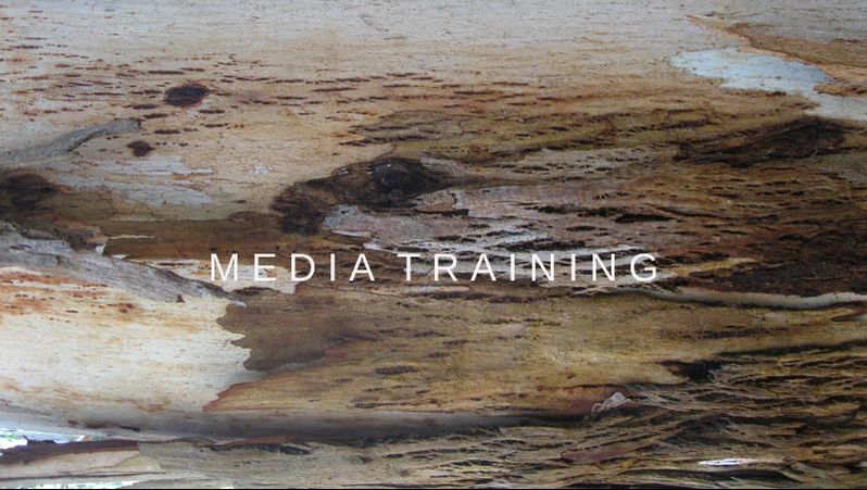 All about storytelling and media training